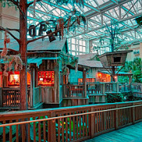 Old Hickory Steakhouse-Gaylord Palms Resort 