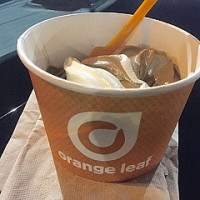 Orange Leaf Frozen Yogurt 