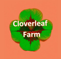Cloverleaf Farms Cakery inside
