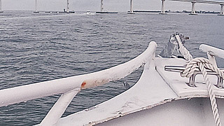 Sanibel Harbour Princess Yacht outside