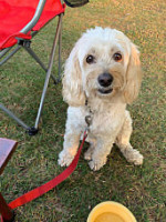 Taylor-brawner Park: Food Truck Tuesday food