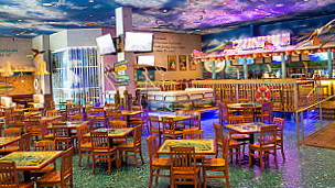 Margaritaville Cleveland inside