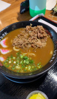 Hiro Ramen Udon food