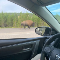 Lake Yellowstone Park outside