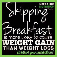 Herbalife Energy Nutrition food