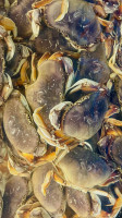 Usa Daily Live Seafood Market food