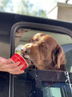 Chick-fil-a outside