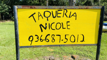 Taqueria Nicole food