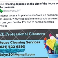 Kb Professional Cleaners food