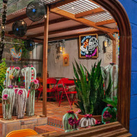 The Cactus Shop inside