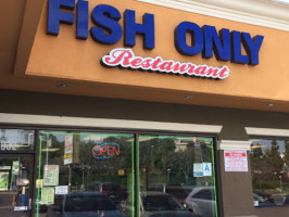 Fish Only outside