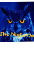 The Night Owl food