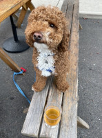 Forgotten Boardwalk Brewing Company food