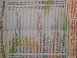 Wonderful Chinese menu