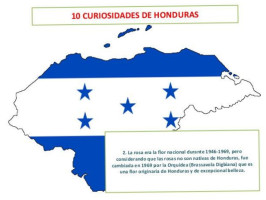 Taste Of Honduras food