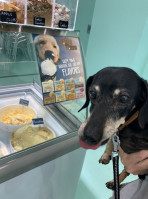 Salty Paws Doggie Ice Cream, Treats, And Bakery Shop food