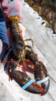 Crabby Lobster Seafood Llc food