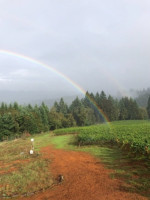 Lange Estate Winery Vineyards inside