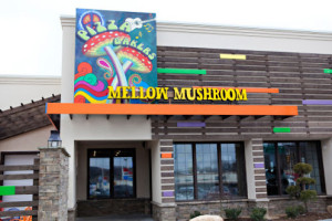 Mellow Mushroom Johnson City food