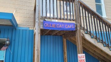 Ollie Cat Cafe food