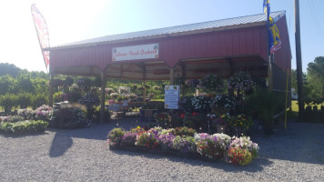 Cullman Peach Orchard outside