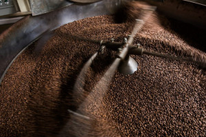 Kona Coffee Purveyors Artisan Coffee Roasters Roastery inside