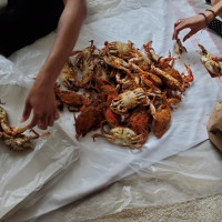 Waverly Crabs Seafood food