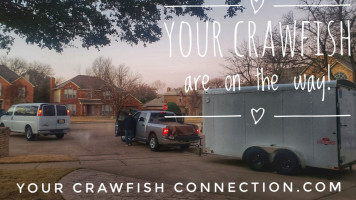 Your Crawfish Connection food