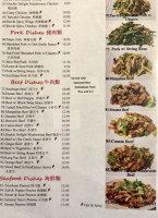 New Garden Asian Cuisine menu