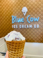 Blue Cow Ice Cream Co. inside