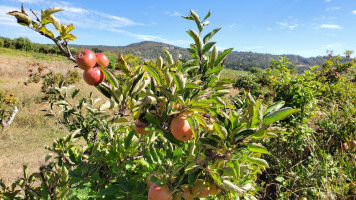 Slo Creek Farms food