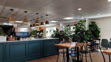 Hudson Botanical Café Catering Houseplants inside
