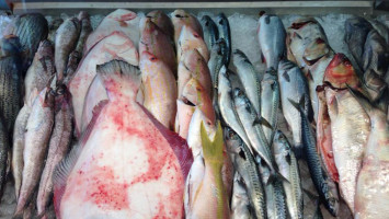 Mastic Sea Food food