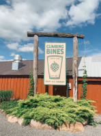 Climbing Bines Hop Farm outside