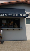 Malibu Mutts outside