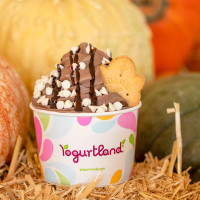 Yogurtland West Jordan food