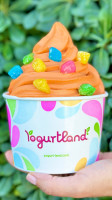 Yogurtland Lake Elsinore food