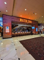 Water Dog Atlantic City food