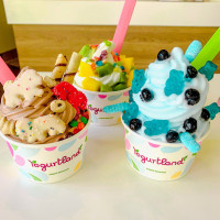 Yogurtland Santa Ana food