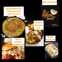 The Haleem Bowl (food Truck) food