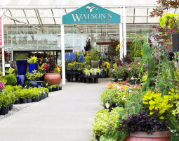 Watson's Greenhouse And Nursery inside