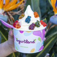 Yogurtland Burbank food