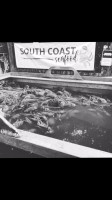 South Coast Seafood Distribution food
