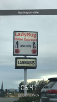 Ladybug Bikini Espresso outside