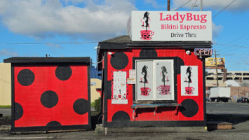 Ladybug Bikini Espresso outside