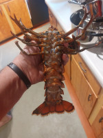 Get Maine Lobster inside