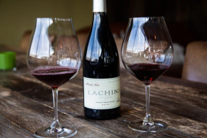 Lachini Winery Tasting food