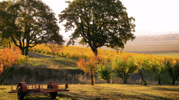 Yamhill Valley Vineyards outside