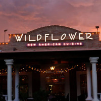 Wildflower - Tucson food