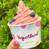 Yogurtland Los Angeles food